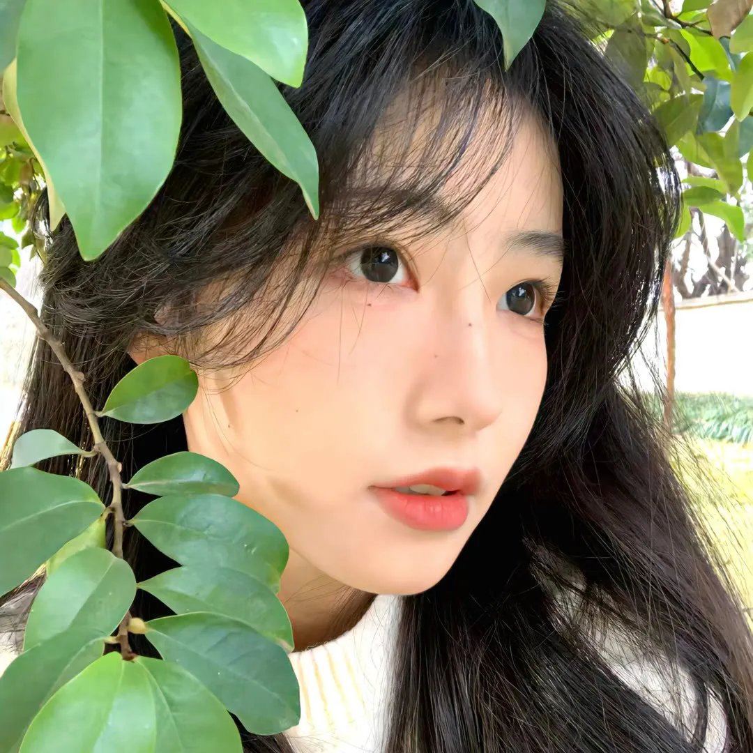 红杏痴魂